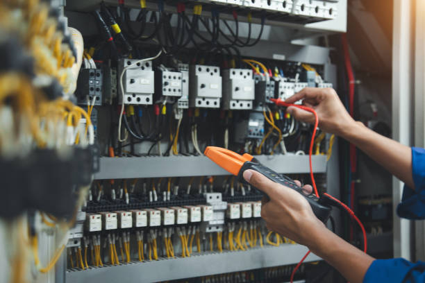 Best Electric Panel Repair  in Salida, CO